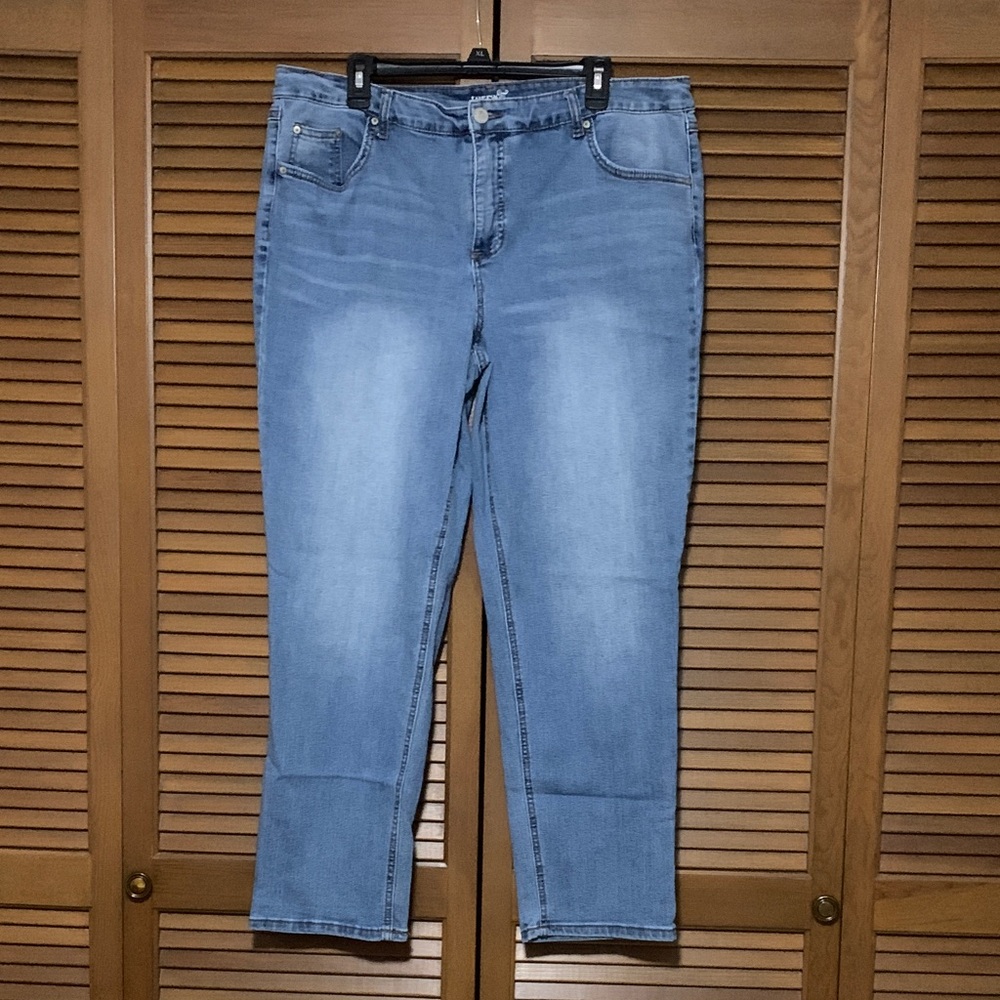 Terra and Sky Straight Blue Jeans 18W